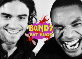 Bands Eat Bugs