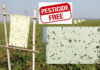 Pesticide Free Farming