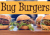 Bug Burgers