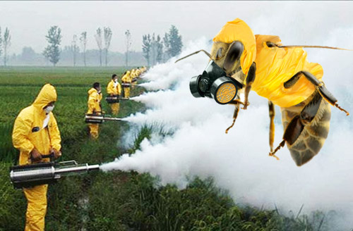 insecticides and pesticides good or bad