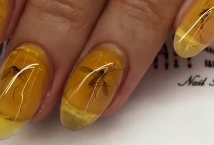 5. "Insect Nail Art Ideas" - wide 4